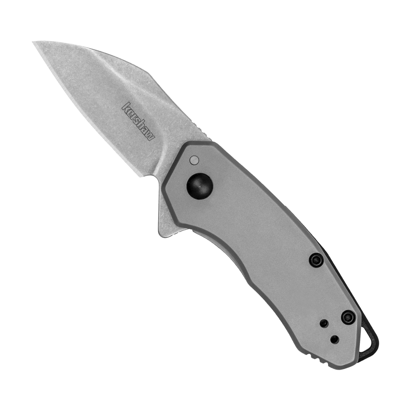Kershaw Rate Folding Pocket Knife, Small Everyday Carry Knife with Assisted Opening, 8Cr13MoV Stainless Steel Blade, Pocketclip and Lanyard Hole,Grey