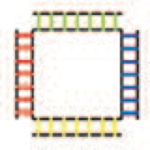 Champion Sports Sectioned Agility Ladder Set, Red/Yellow/Blue/Green, 6.5" x 16" Wide