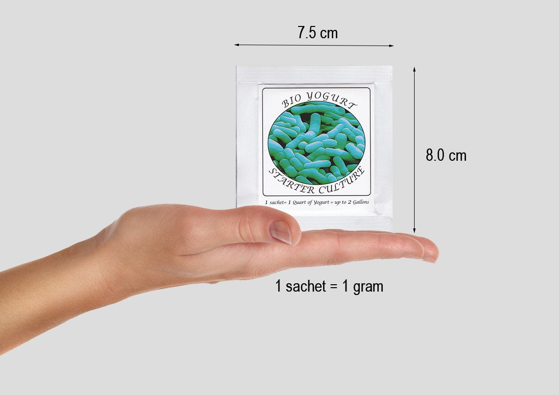 Yogurt Starter Cultures - Pack of 3 Freeze-dried Culture Sachets for Bifido Yogurt