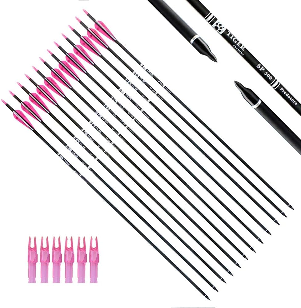 30Inch Carbon Arrow Practice Hunting Arrows with Removable Tips for Compound & Recurve Bow(Pack of 12)