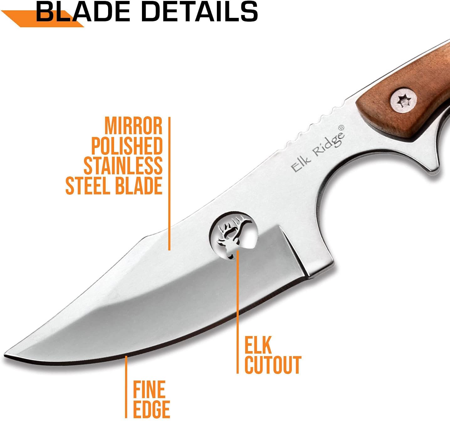 Elk Ridge - Outdoors Fixed Blade Knife - 6.75-in Overall, Mirror Finished Stainless Steel Blade, Burl Wood Handle - Full Tang Construction, 1680D Nylon Sheath - Hunting, Camping, Survival - ER-534