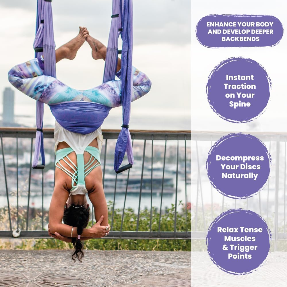 Swing Set for Home & Outdoor | Easy Setup for Strength, Balance & Back Pain Relief | Adjustable Straps & 600lb Capacity, Includes Carrying Bag & Online Tutorials