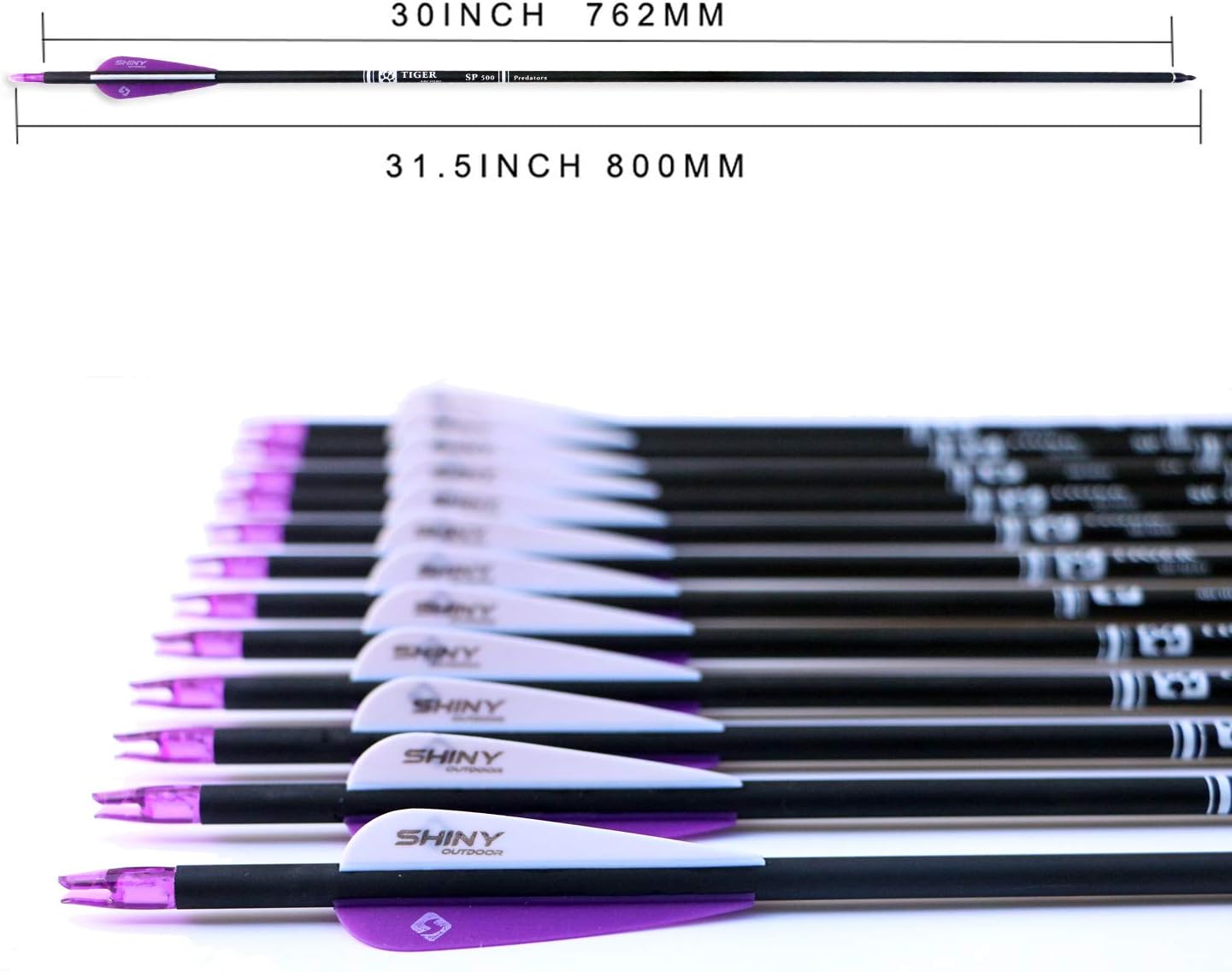 30Inch Carbon Arrow Practice Hunting Arrows with Removable Tips for Compound & Recurve Bow(Pack of 12)