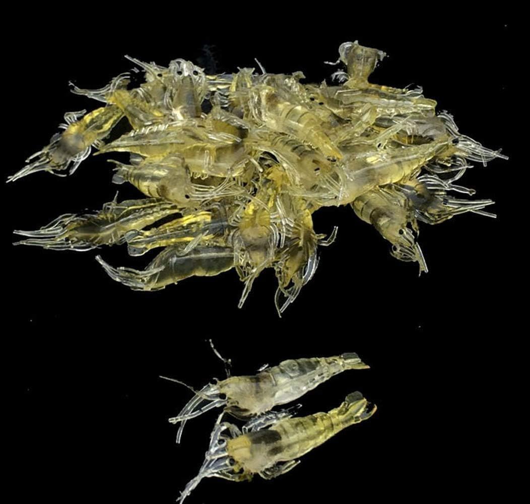 10 Pcs Soft Shrimp Bait Fishing Gear Simulation Fake Bait Grass Shrimp Lures Cost-Effective Convenient Soft Lures, Baits and Attractants(4cm)