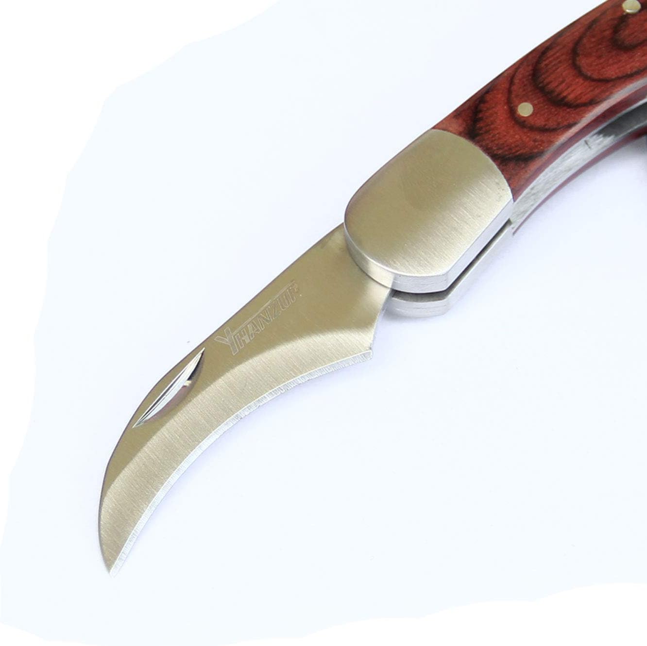 Folding Mushroom Knife with Neoprene Pouch Solid Wood Handle and Foldable Cleaning Brush