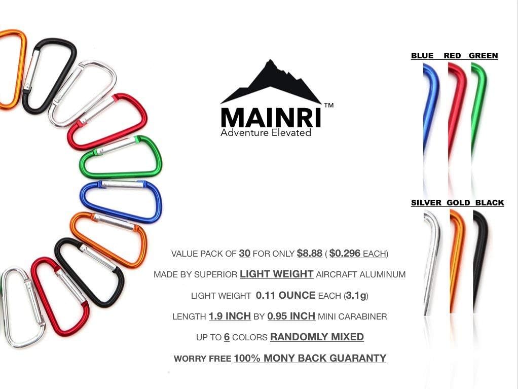 30 pcs Carabiner Clip Keychain Small Caribeaner Clip Keys Chain