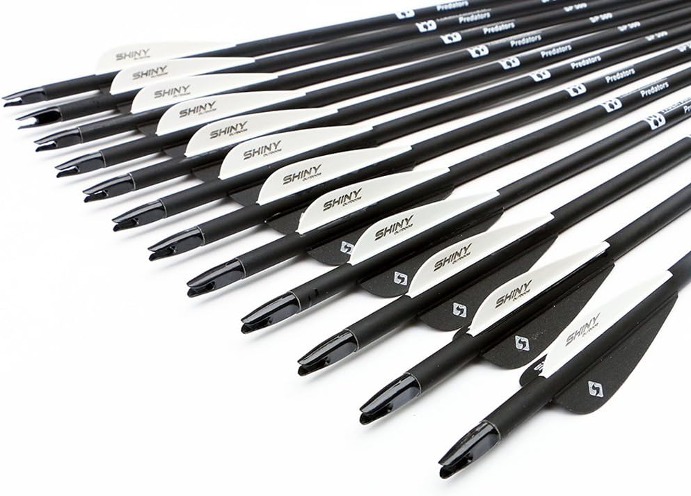 30Inch Carbon Arrow Practice Hunting Arrows with Removable Tips for Compound & Recurve Bow(Pack of 12)