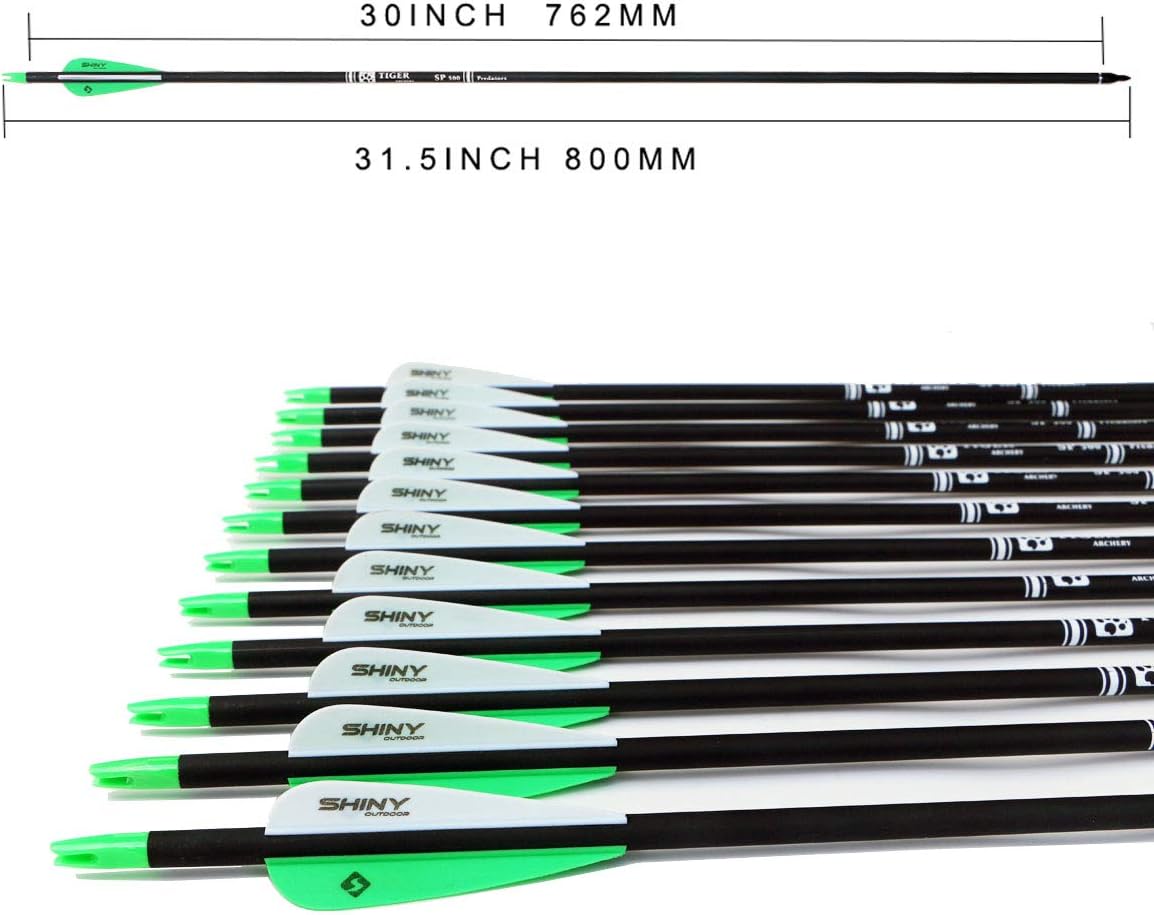 30Inch Carbon Arrow Practice Hunting Arrows with Removable Tips for Compound & Recurve Bow(Pack of 12)