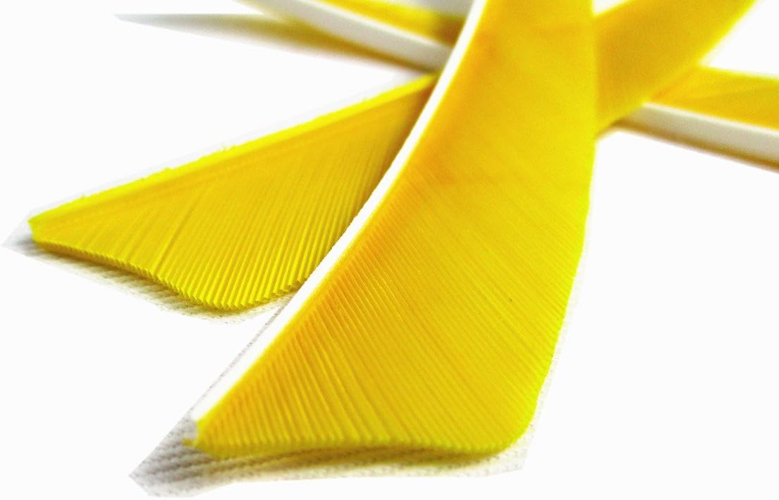 Letszhu Archery Arrows Feather Fletching 4 Inch Real Turkey Vanes for Hunting Target Shooting (25 Pack)