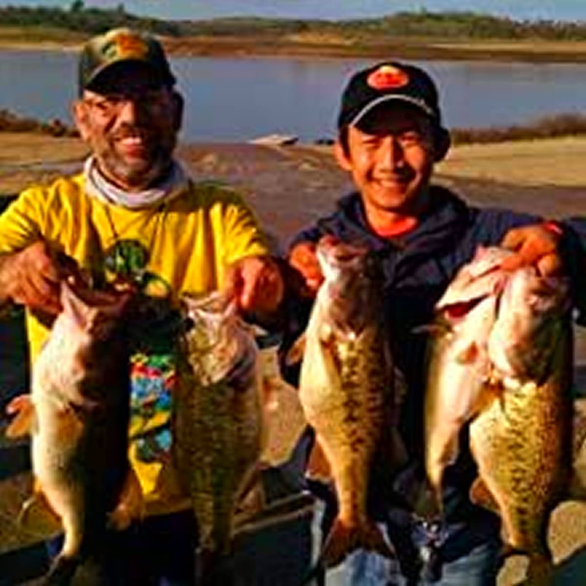 4.5" RF Gillman Glide Bait Bass Musky Striper Fishing Big Lure Multi Jointed Shad Trout Kits Slow Sinking or Floating (Silver Shiner, Floater)