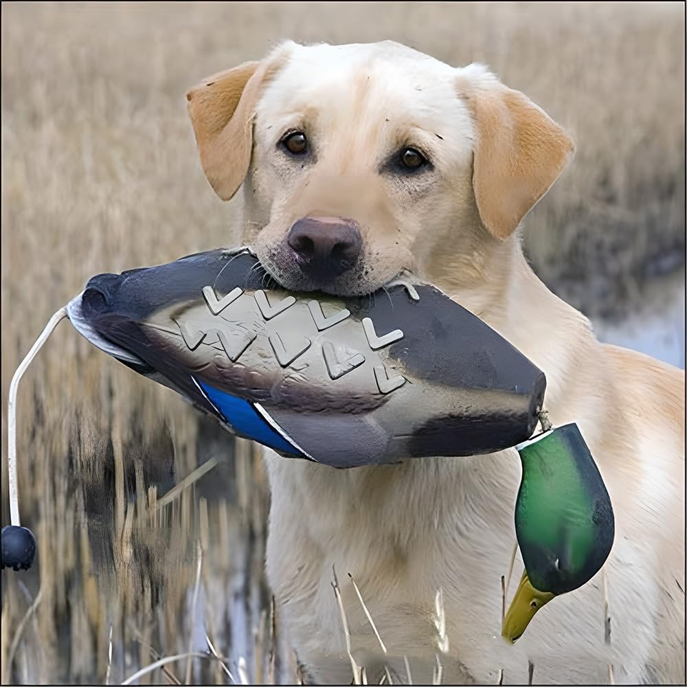 fingig 2 Pcs Duck Dummy Bumper Toys for Hunting Retriever Dog Training, Dog Retriever Outdoor Training Toy ,Hunting Duck Recognition Trainers, Foam Pet Interactive Toys