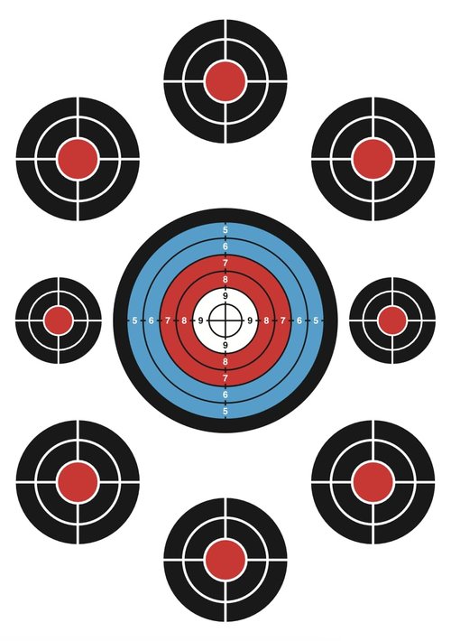 50 Pack Paper Shooting Target Silhouette Bundle - Black and Blue - 12"x18" (Front and Back) Hunting, Handguns, Airguns, Archery Practice (Blue)