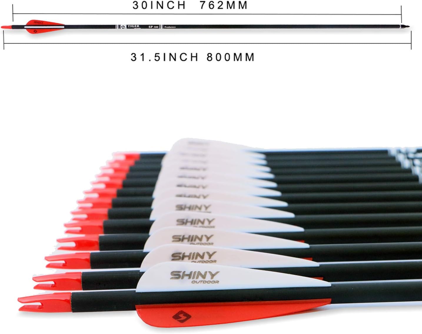 30Inch Carbon Arrow Practice Hunting Arrows with Removable Tips for Compound & Recurve Bow(Pack of 12)