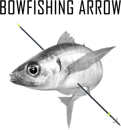 Archery Bowfishing Arrows Hunting 34inch Solid Fiberglass Arrows with Broadhead for Compound Bow and Recurve Bow
