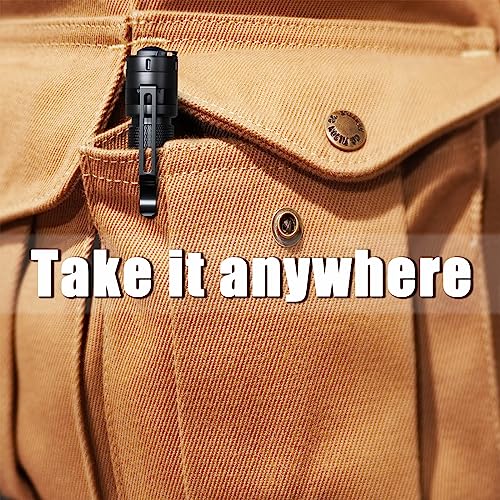 UV Flashlight Penlight 2 Pack - Black & Black, 5.2 Inch Portable Pet Urine & Stain Detector