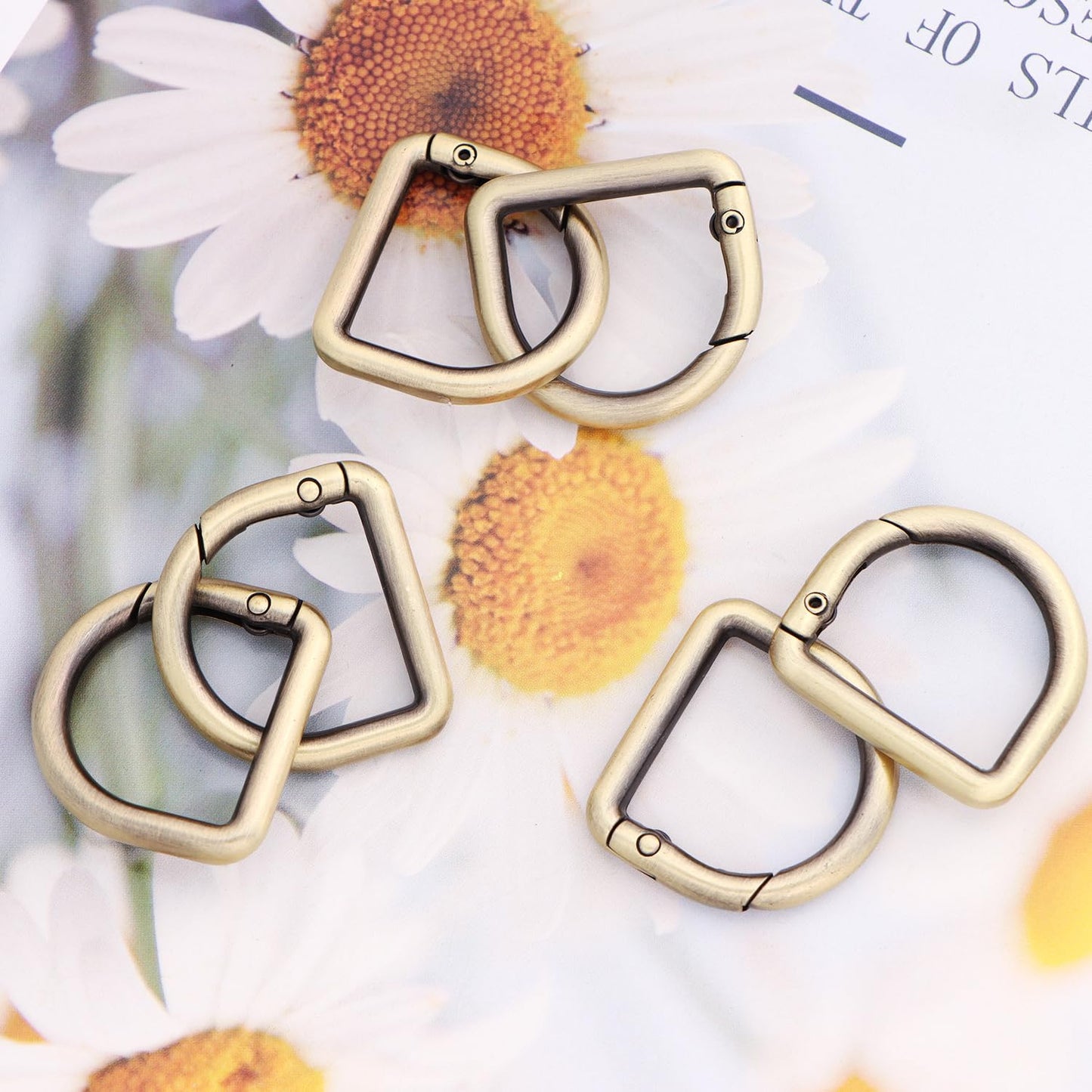 10pcs Metal D Ring Spring Key Hooks Keyring Clip for Keychain Buckle, Backpacks Handbag Purse Hardware, DIY Crafts