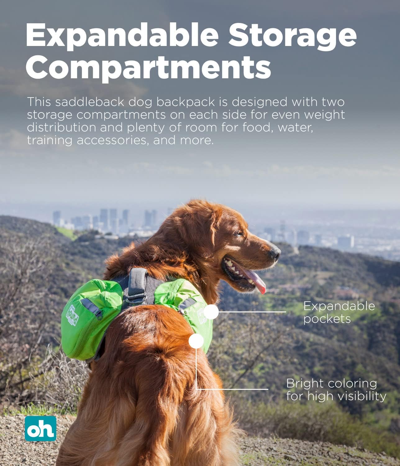 Outward Hound DayPak Green Dog Saddleback Backpack, Large