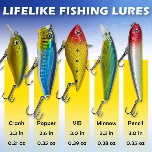LOOTAERUL 40 Pcs Fishing Bait Lures Kit, Tackle Box with Tackle Included,Minnow, VIB, Pencil, Popper, Crank, Spoons, Weights Other Accessories, Bass Fishing Lure Set for Beginner and Experienced