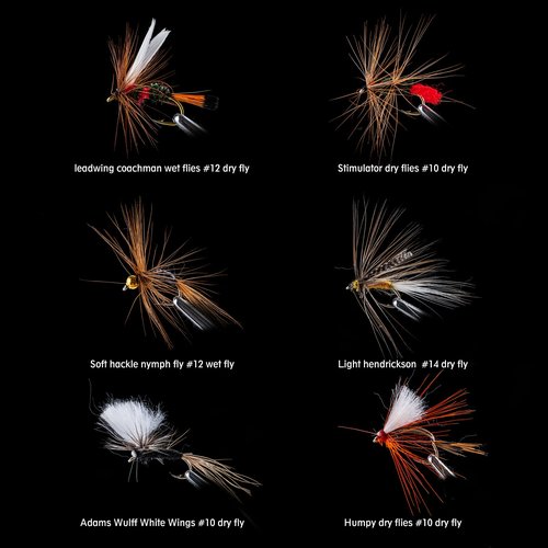 Goture Fly Fishing Flies,30pcs Fly Fishing Lures,Dry Flies Wet Flies Streamers Nymphs Flies, Fly Fishing Assortment Kit for Bass Trout Panfish Salmon Fishing