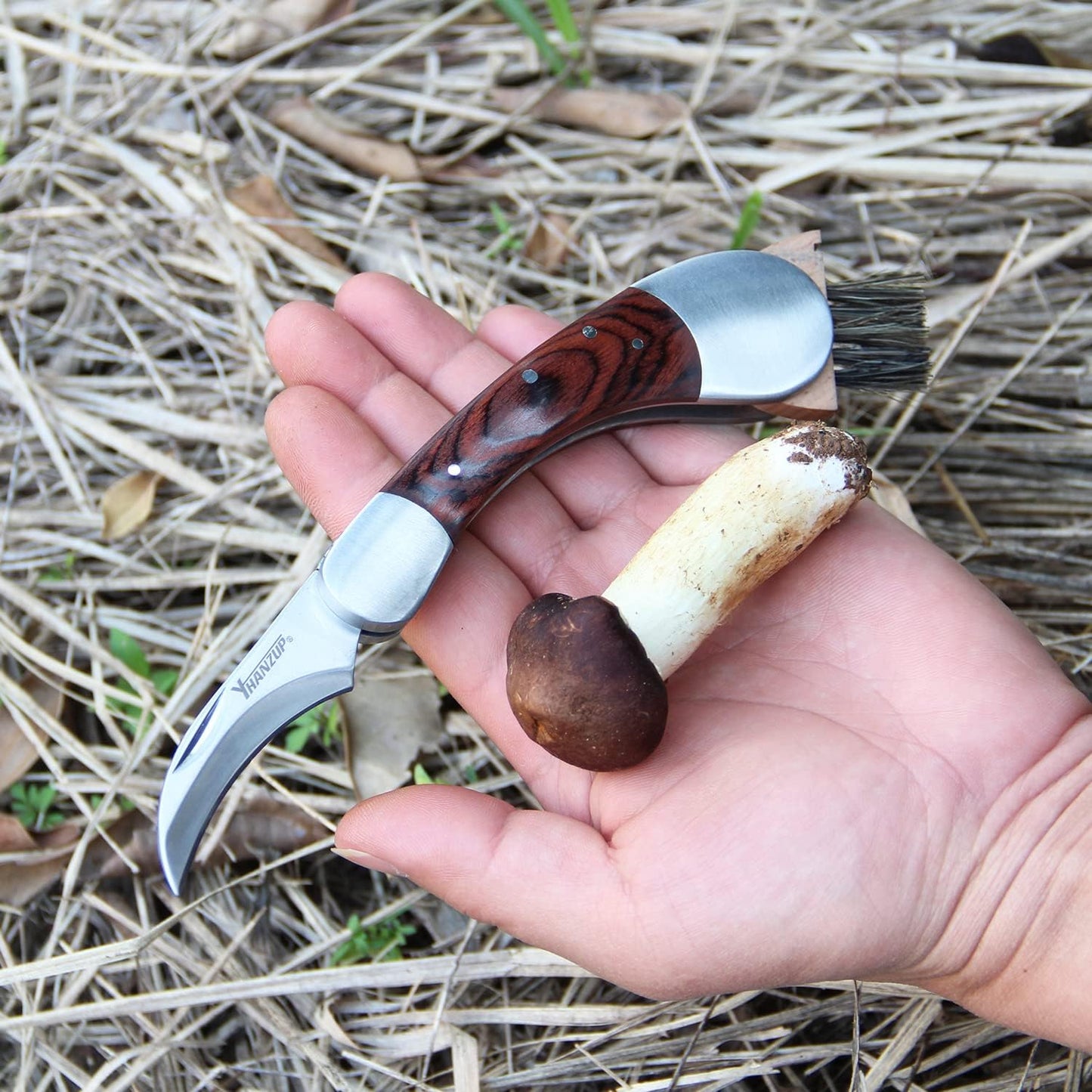Folding Mushroom Knife with Neoprene Pouch Solid Wood Handle and Foldable Cleaning Brush