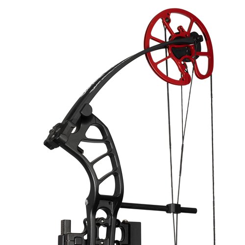 Cajun Bowfishing Shore Runner EVW Bowfishing Bow with Winch Pro Reel
