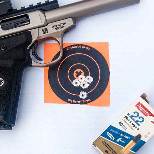 BIRCHWOOD CASEY Big Burst Bull's Eye Always Flat Adhesive Back Shooting Training Reactive Targets | Pack of 3 Sheets