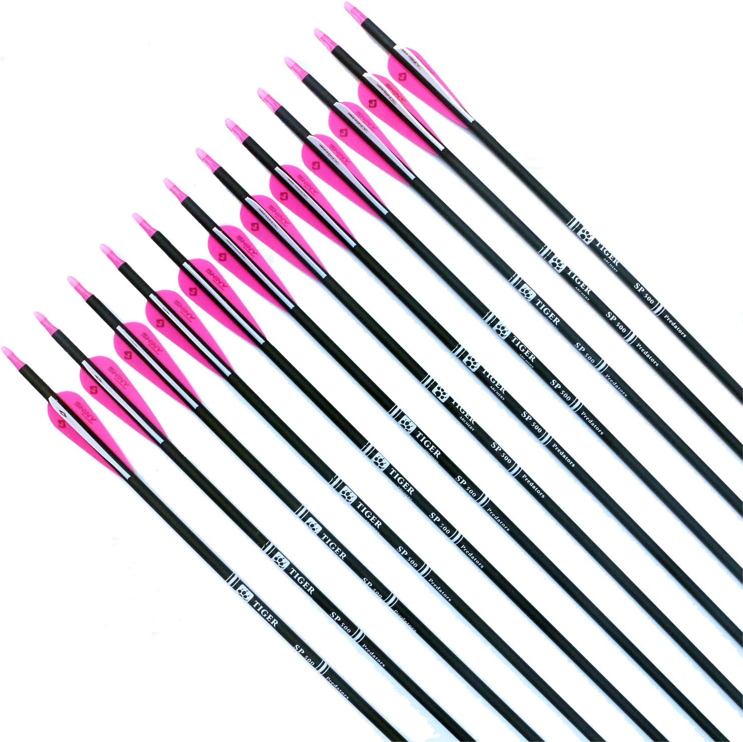 30Inch Carbon Arrow Practice Hunting Arrows with Removable Tips for Compound & Recurve Bow(Pack of 12)
