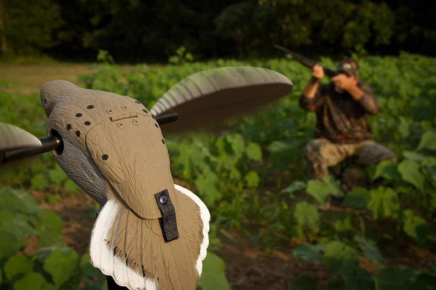 MOJO Outdoors Dove Hunting Decoys and Accessories – (Choose Style)