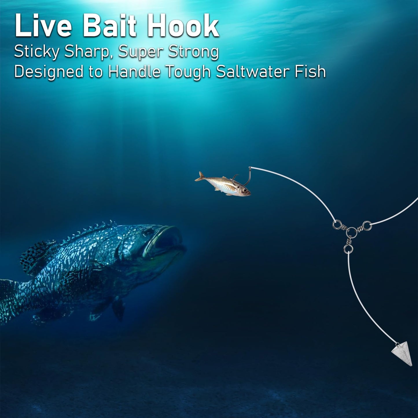 Dr.Fish 30 Pack Circle Hooks 3X Strong in-Line for Saltwater & Freshwater, Live Bait Non-Offset Fishing Hooks for Striper, Catfish, Mackerel, Bass, Tuna 2/0