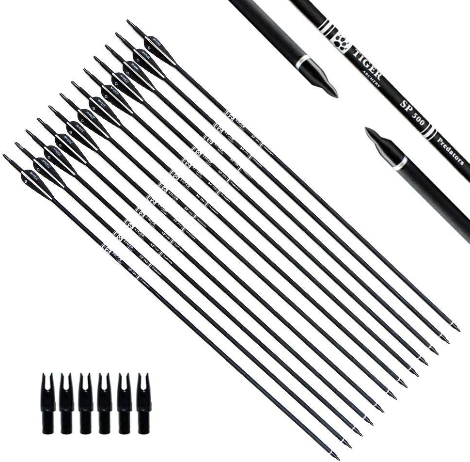 30Inch Carbon Arrow Practice Hunting Arrows with Removable Tips for Compound & Recurve Bow(Pack of 12)