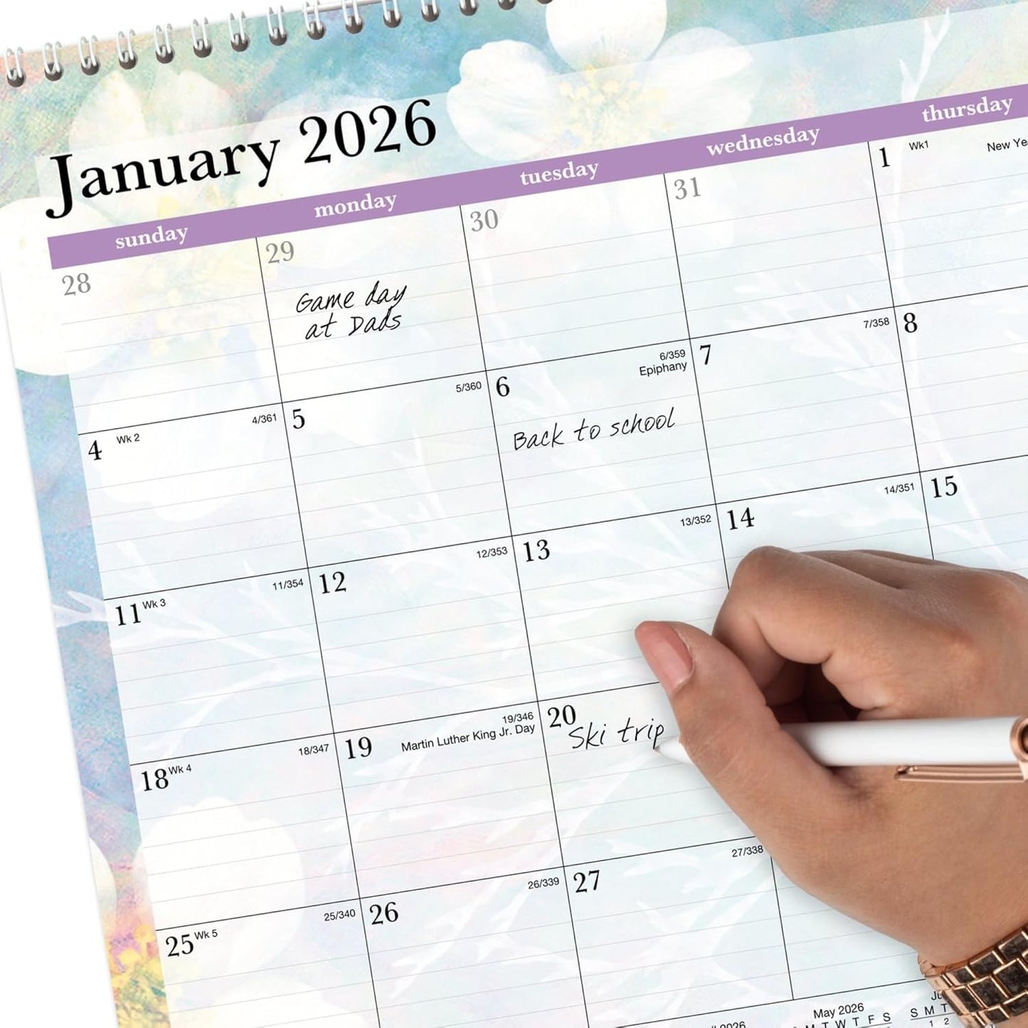 AT-A-GLANCE® Dreams 2026 Monthly Wall Calendar, Medium, 15" x 12"