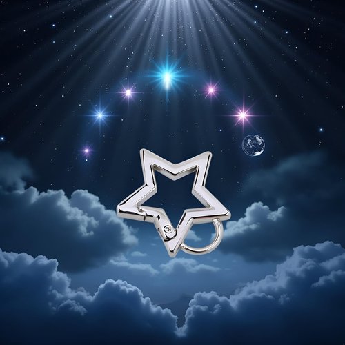 Silver Star Shaped Stainless Steel Keychain Clip Carabiner Snap Hook Holder Star Carabiner Hook Clip Keychain Carabiners for Keys and Wallet Accessory with Key Chain Rings(with Loop Hook)