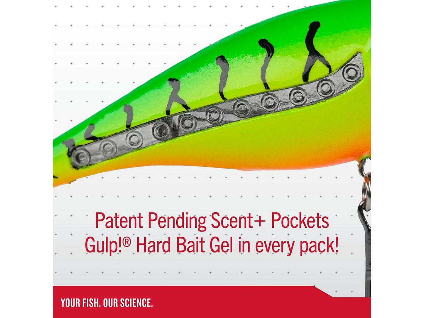 Berkley Scented Flicker Shad Tiger 5 Pack Fishing Lure, Assorted, 3/16 oz, 2.75in | 7 cm, Size, Profile and Dive Depth Imitates Real Shad, Equipped with Fusion19 Hook