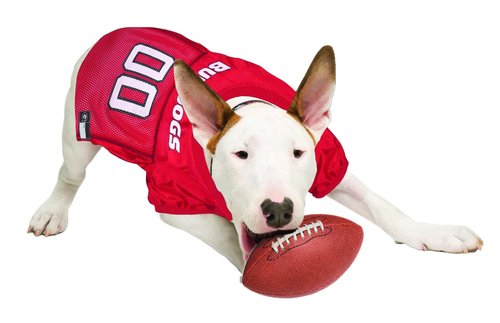 NCAA College Georgia Bulldogs Mesh Jersey for Dogs & Cats, Large. Licensed Big Dog Jersey with Your Favorite Football/Basketball College Team (Pack of 2)
