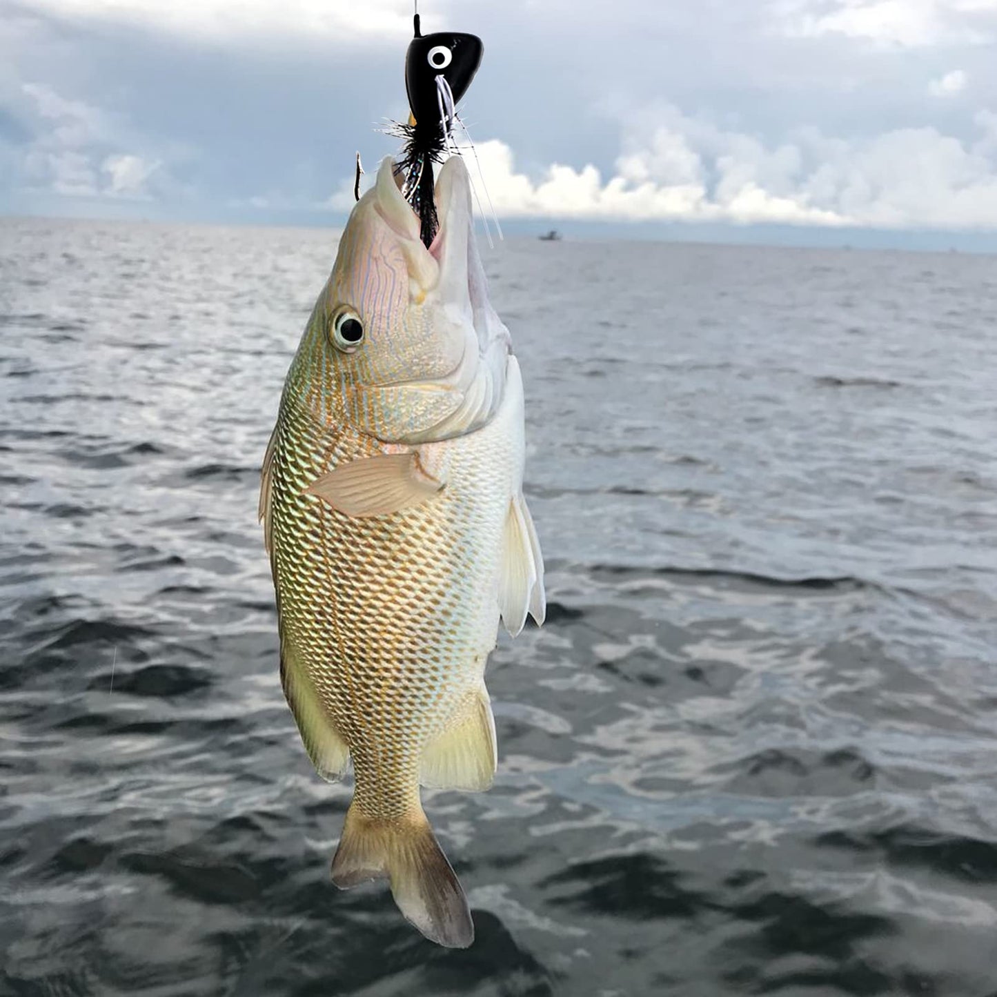 Ghanneey 10pcs Fly Fishing Poppers Fly Fishing Dry Flies Topwater Fishing Lures Bass Popper Flies Bugs Lures Panfish Bait Fly Trout Bobber Flies Kit for Bass Trout Panfish Bluegill Salmon