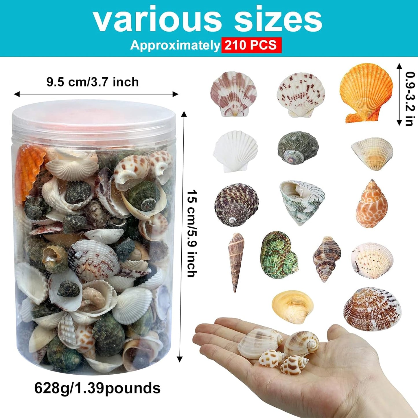 210pcs Mixed Beach Seashells Sea Shells Conch for Beach Theme Party Decorations DIY Crafts Candle Making Fish Tank Vase Fillers Home Decorations