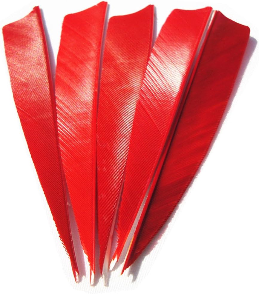 Letszhu Archery Arrows Feather Fletching 4 Inch Real Turkey Vanes for Hunting Target Shooting (25 Pack)