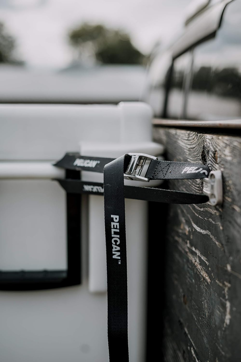 Pelican Tie Down Kit