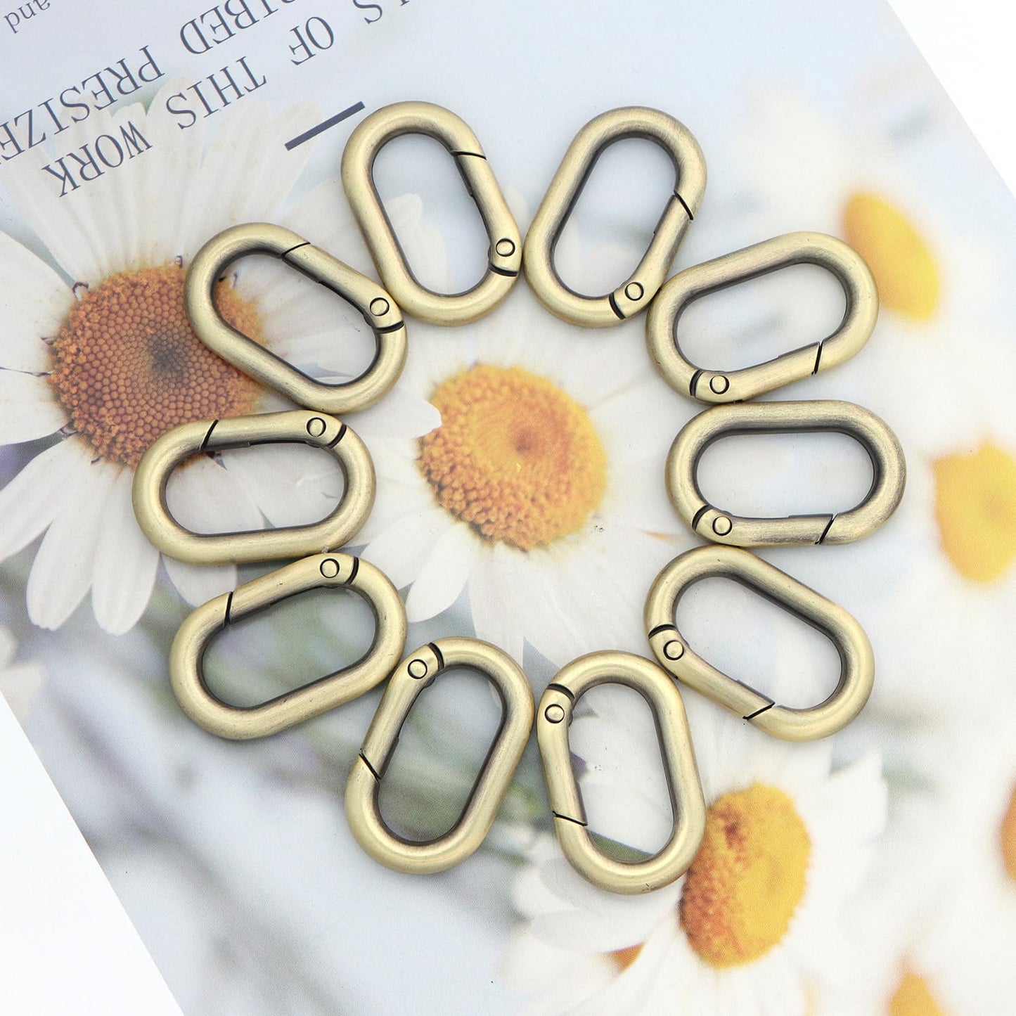 10Pcs Metal Spring Oval Rings Round Carabiner Key Ring Clip for Keychain Buckle, Purse Hardware, DIY Crafts (Brass,1 inch)