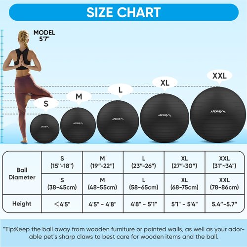 APEXUP Yoga Ball Exercise Ball, Anti Slip Stability Ball Chair, Heavy Duty Large Gym Ball for Fitness, Balance, Core Workout and Physical Therapy (L (23"~26") 65cm, Black)