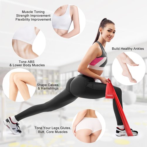 Exercise Bands Resistance Bands for Working Out, Workout Bands with Different Strengths, Elastic Band for Exercise, Physical Therapy Equipment, for Yoga, Strength Training, Pilates, Stretching
