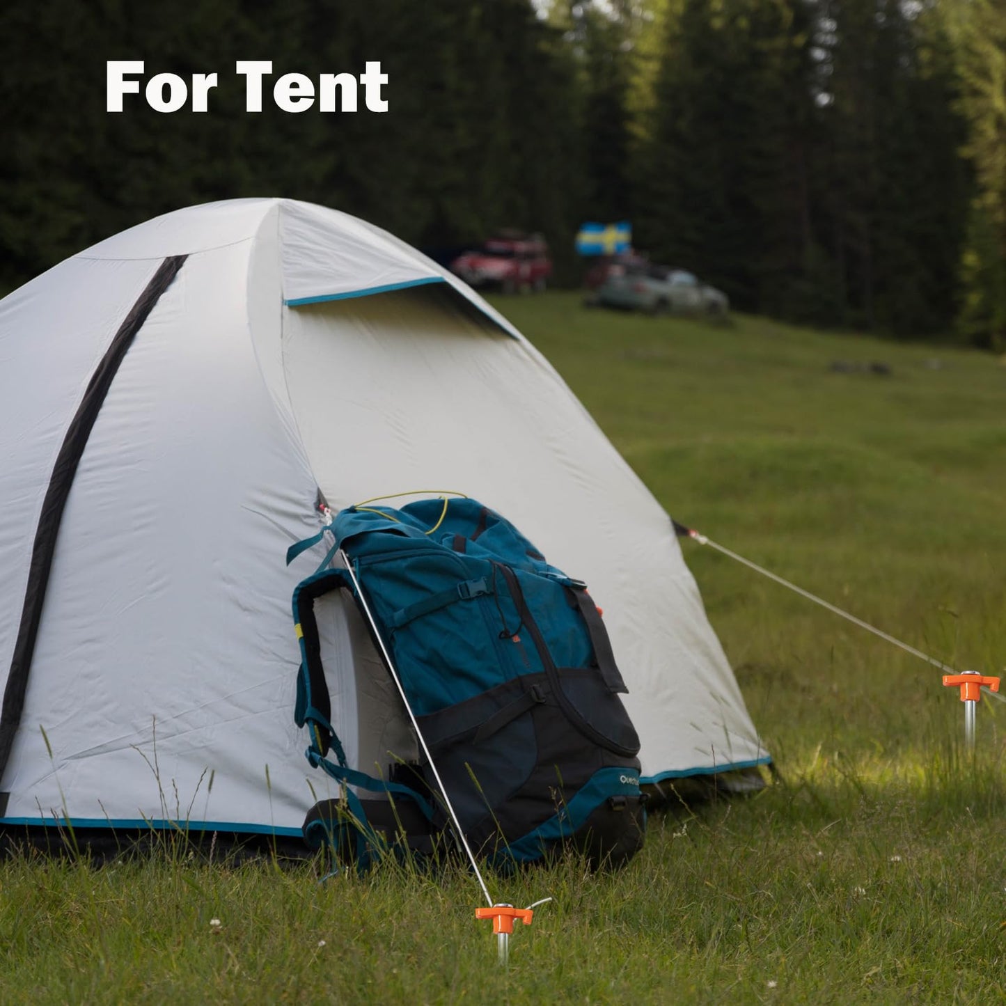 Cheardia 20 Pack Tent Stakes Heavy Duty, 9.75 Inch Yard Stakes Non-Rust Metal Tent Pegs Ground Stakes Tent Spikes for Camping Patio, Garden, Canopies, Grassland, Outdoor, Orange