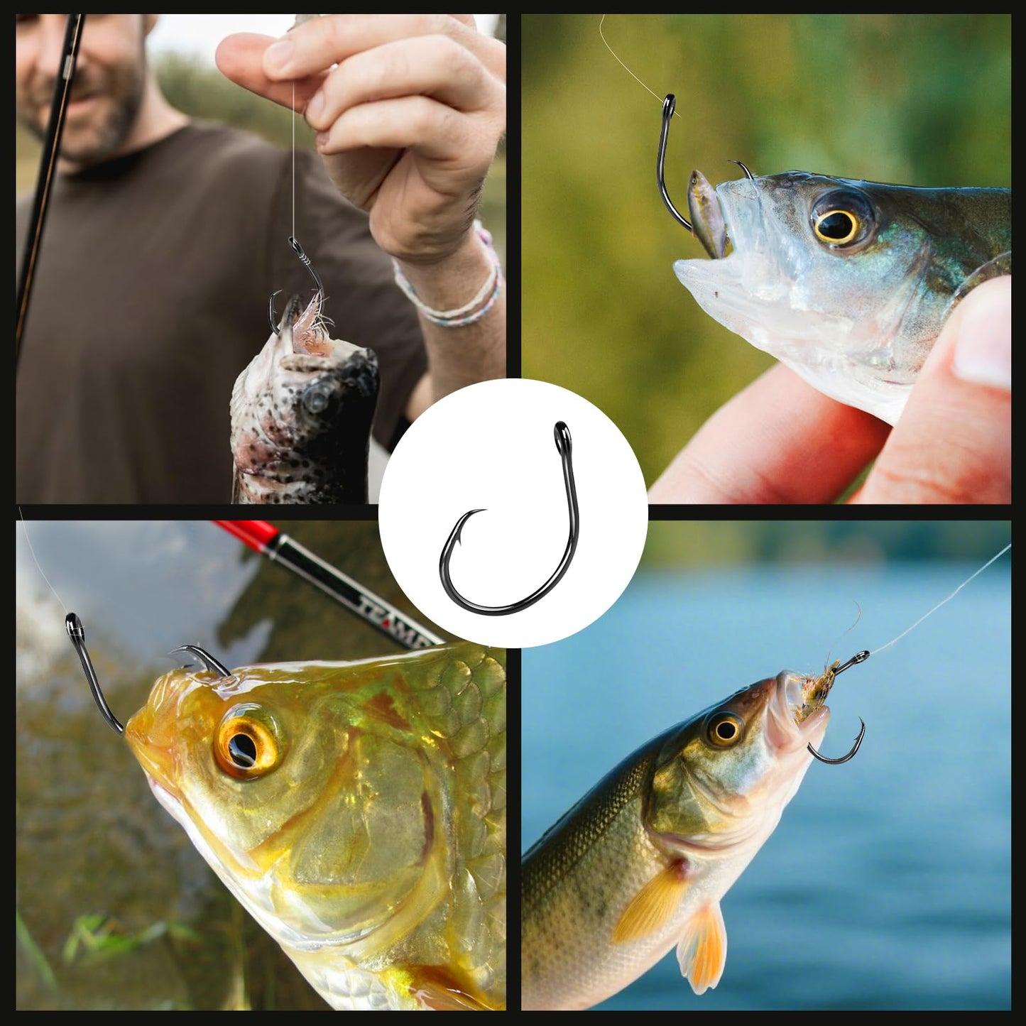 FishTrip Inline Circle Hooks Saltwater - Fishing Catfish Hooks 25pcs Black/Wide Gap/Non-Offset for Bass Salmon Striped Size 4#