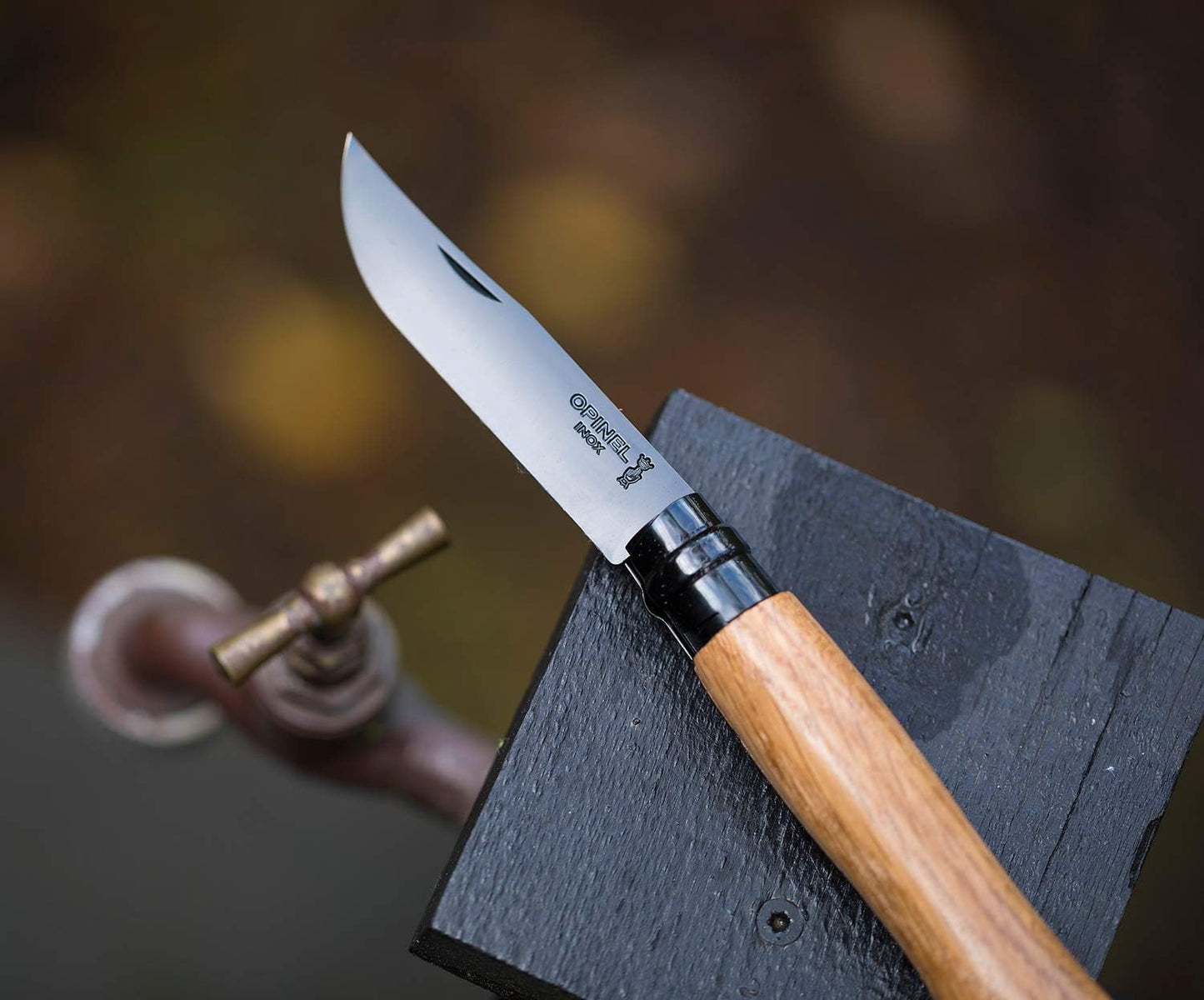 OPINEL Stainelss Steel Folding Knife Set - Wooden Boxed Set of 10 Knives, No. 2 - No. 12