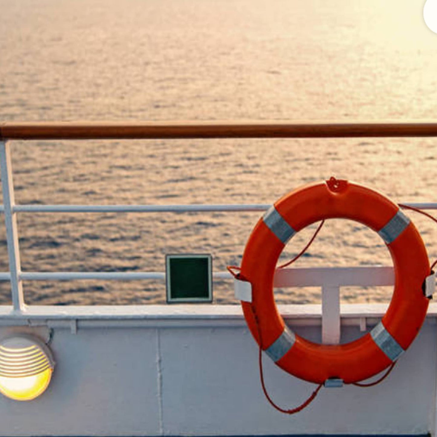Life Ring 28" Boat Throw Rings,Life Rings with Reflective Tape & Grab Lines, Orange Life Ring for Boats,Outdoor Professional Water Life Rings, with Orange Grab Lines (8mm×20m)