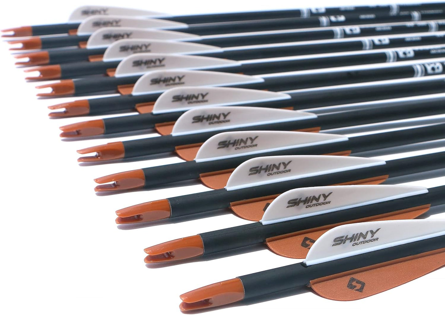 30Inch Carbon Arrow Practice Hunting Arrows with Removable Tips for Compound & Recurve Bow(Pack of 12)