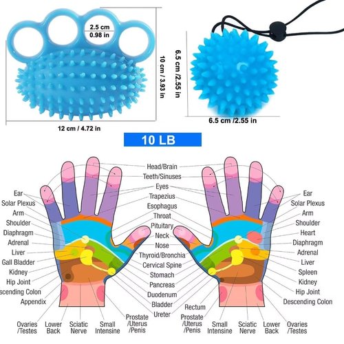 Finger Exerciser Training Ball Hand Grip Strengthener Trainer Squeeze Balls, Finger and Wrist Physical Therapy for Elderly Stroke Recovery, Anxiety Stress Relief, Arthritis, Carpal Tunnel, Massage
