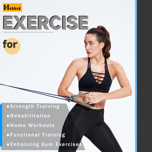 Resistance Tubes, Exercise Bands with Handles, Elastic Bands for Exercise, Physical Therapy Bands, Natural Rubber Tubing with Door Anchor for Lower Pilates, at-Home Workout, 25 Feet (Silver)