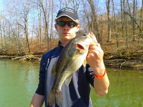 7" RF Glider Glide Bait Bass Musky Striper Fishing Big Lure Multi Jointed Shad Trout Kits Slow Sinking