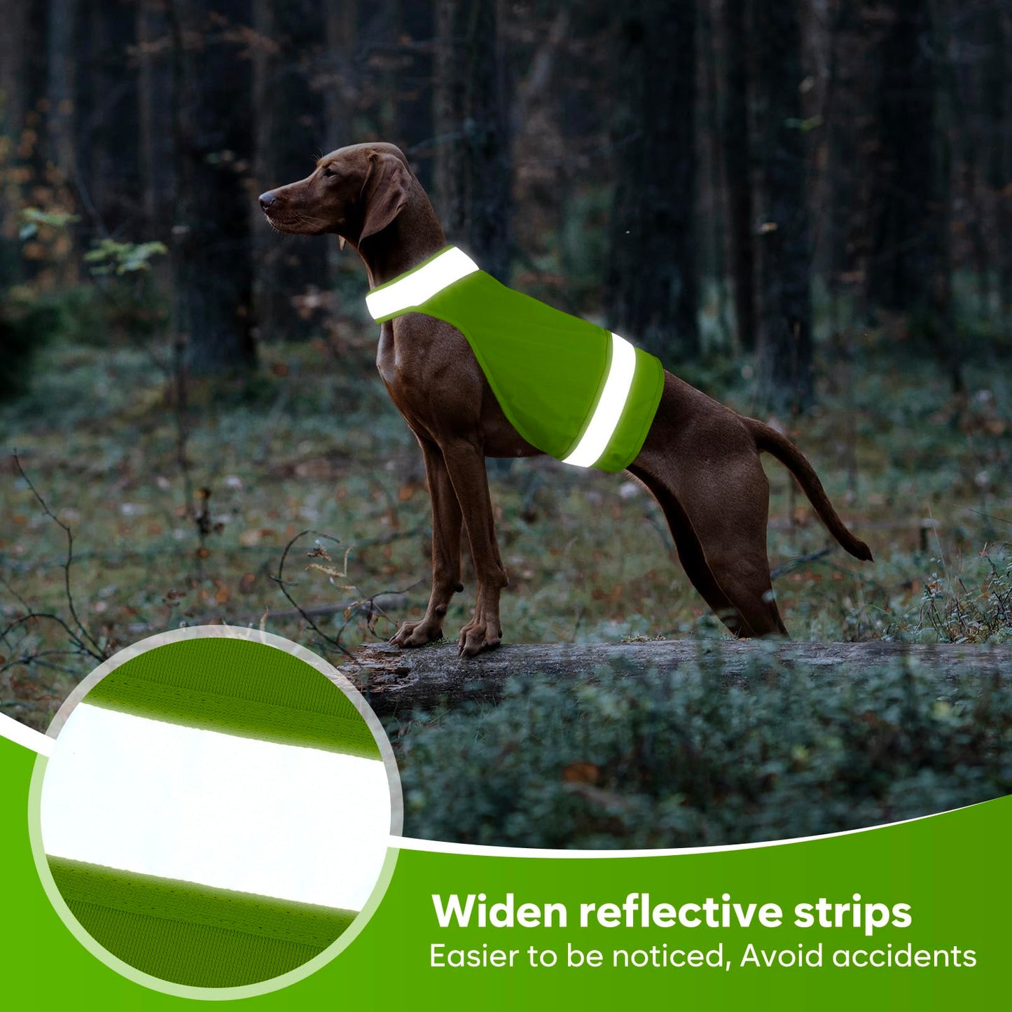 2 Pieces Dog Hunting Vest, High Visibility Reflective Vest, Soft Adjustable Hiking Vest for Outdoor Hunting and Walking Night (Fluorescent Green&Blaze Orange, L)